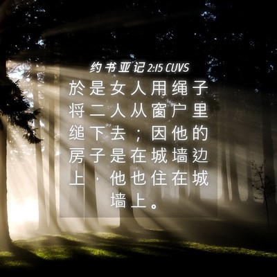 Picture 04 - 约 书 亚 记 2:15 CUVS - 於 是 女 人 用 绳 子 将 二 人 从 窗 - Bible Verse Picture