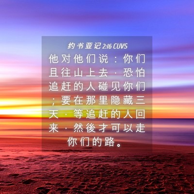 Picture 04 - 约 书 亚 记 2:16 CUVS - 他 对 他 们 说 ： 你 们 且 往 山 上 - Bible Verse Picture