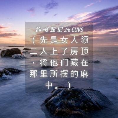 Picture 04 - 约 书 亚 记 2:6 CUVS - （ 先 是 女 人 领 二 人 上 了 房 顶 - Bible Verse Picture