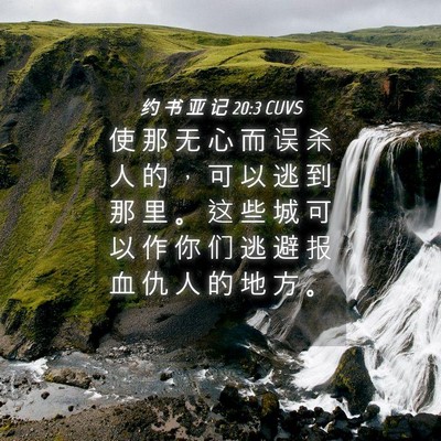 Picture 04 - 约 书 亚 记 20:3 CUVS - 使 那 无 心 而 误 杀 人 的 ， 可 以 - Bible Verse Picture