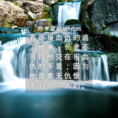 Picture 04 - 约 书 亚 记 20:5 CUVS - 若 是 报 血 仇 的 追 了 他 来 ， 长 - Bible Verse Picture