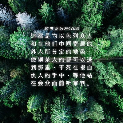 Picture 04 - 约 书 亚 记 20:9 CUVS - 这 都 是 为 以 色 列 众 人 和 在 他 - Bible Verse Picture