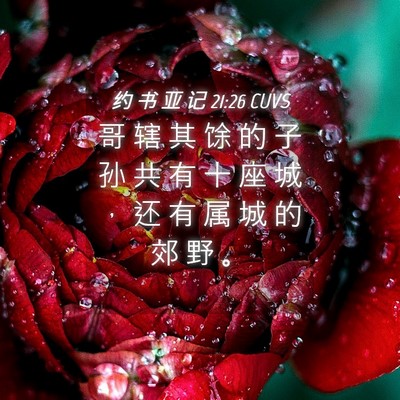 Picture 04 - 约 书 亚 记 21:26 CUVS - 哥 辖 其 馀 的 子 孙 共 有 十 座 城 - Bible Verse Picture