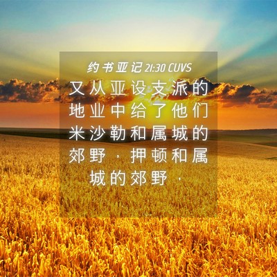 Picture 04 - 约 书 亚 记 21:30 CUVS - 又 从 亚 设 支 派 的 地 业 中 给 了 - Bible Verse Picture