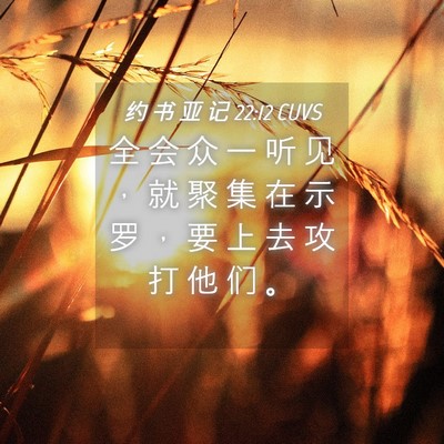 Picture 04 - 约 书 亚 记 22:12 CUVS - 全 会 众 一 听 见 ， 就 聚 集 在 示 - Bible Verse Picture
