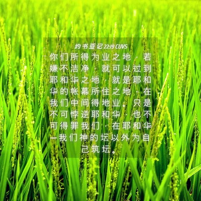 Picture 04 - 约 书 亚 记 22:19 CUVS - 你 们 所 得 为 业 之 地 ， 若 嫌 不 - Bible Verse Picture