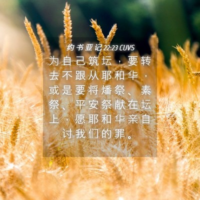 Picture 04 - 约 书 亚 记 22:23 CUVS - 为 自 己 筑 坛 ， 要 转 去 不 跟 从 - Bible Verse Picture