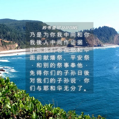 Picture 04 - 约 书 亚 记 22:27 CUVS - 乃 是 为 你 我 中 间 和 你 我 後 人 - Bible Verse Picture