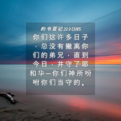 Picture 04 - 约 书 亚 记 22:3 CUVS - 你 们 这 许 多 日 子 ， 总 没 有 撇 - Bible Verse Picture