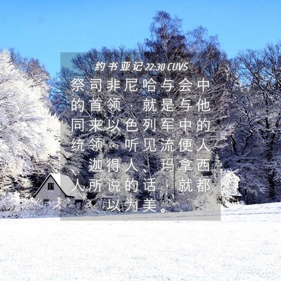 Picture 04 - 约 书 亚 记 22:30 CUVS - 祭 司 非 尼 哈 与 会 中 的 首 领 ， - Bible Verse Picture