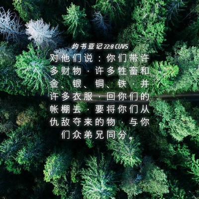 Picture 04 - 约 书 亚 记 22:8 CUVS - 对 他 们 说 ： 你 们 带 许 多 财 物 - Bible Verse Picture
