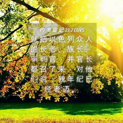 Picture 04 - 约 书 亚 记 23:2 CUVS - 就 把 以 色 列 众 人 的 长 老 、 族 - Bible Verse Picture