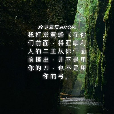 Picture 04 - 约 书 亚 记 24:12 CUVS - 我 打 发 黄 蜂 飞 在 你 们 前 面 ， - Bible Verse Picture