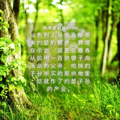 Picture 04 - 约 书 亚 记 24:32 CUVS - 以 色 列 人 从 埃 及 所 带 来 约 瑟 - Bible Verse Picture