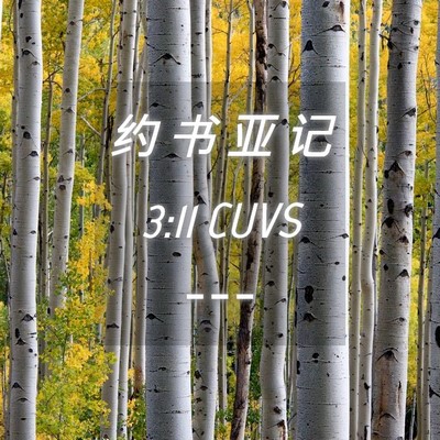 Picture 04 - 约 书 亚 记 3:11 CUVS -  - Bible Verse Picture