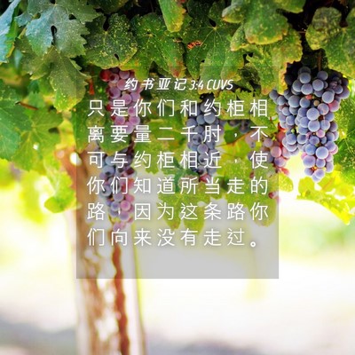 Picture 04 - 约 书 亚 记 3:4 CUVS - 只 是 你 们 和 约 柜 相 离 要 量 二 - Bible Verse Picture