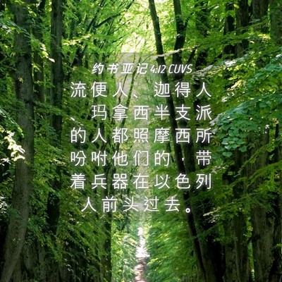 Picture 04 - 约 书 亚 记 4:12 CUVS - 流 便 人 、 迦 得 人 、 玛 拿 西 半 - Bible Verse Picture