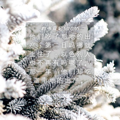 Picture 04 - 约 书 亚 记 5:12 CUVS - 他 们 吃 了 那 地 的 出 产 ， 第 二 - Bible Verse Picture