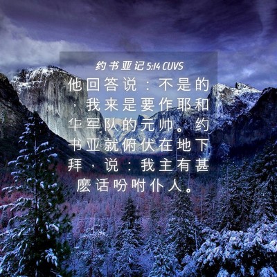 Picture 04 - 约 书 亚 记 5:14 CUVS - 他 回 答 说 ： 不 是 的 ， 我 来 是 - Bible Verse Picture