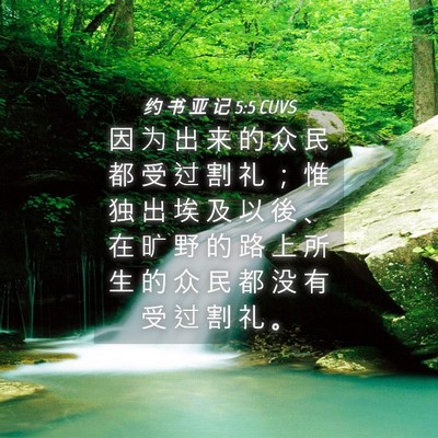 Picture 04 - 约 书 亚 记 5:5 CUVS - 因 为 出 来 的 众 民 都 受 过 割 礼 - Bible Verse Picture