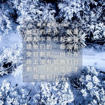 Picture 04 - 约 书 亚 记 5:7 CUVS - 他 们 的 子 孙 ， 就 是 耶 和 华 所 - Bible Verse Picture