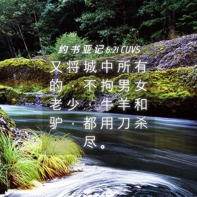 Picture 04 - 约 书 亚 记 6:21 CUVS - 又 将 城 中 所 有 的 ， 不 拘 男 女 - Bible Verse Picture