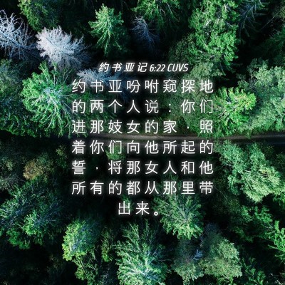 Picture 04 - 约 书 亚 记 6:22 CUVS - 约 书 亚 吩 咐 窥 探 地 的 两 个 人 - Bible Verse Picture