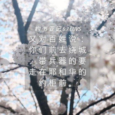 Picture 04 - 约 书 亚 记 6:7 CUVS - 又 对 百 姓 说 ： 你 们 前 去 绕 城 - Bible Verse Picture