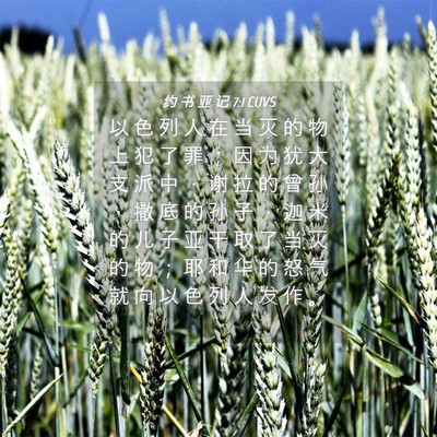 Picture 04 - 约 书 亚 记 7:1 CUVS - 以 色 列 人 在 当 灭 的 物 上 犯 了 - Bible Verse Picture