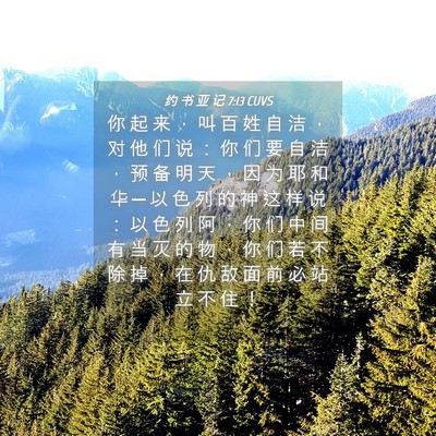 Picture 04 - 约 书 亚 记 7:13 CUVS - 你 起 来 ， 叫 百 姓 自 洁 ， 对 他 - Bible Verse Picture