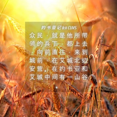 Picture 04 - 约 书 亚 记 8:11 CUVS - 众 民 ， 就 是 他 所 带 领 的 兵 丁 - Bible Verse Picture