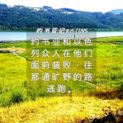 Picture 04 - 约 书 亚 记 8:15 CUVS - 约 书 亚 和 以 色 列 众 人 在 他 们 - Bible Verse Picture