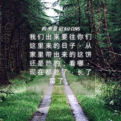 Picture 04 - 约 书 亚 记 9:12 CUVS - 我 们 出 来 要 往 你 们 这 里 来 的 - Bible Verse Picture