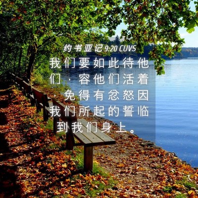 Picture 04 - 约 书 亚 记 9:20 CUVS - 我 们 要 如 此 待 他 们 ， 容 他 们 - Bible Verse Picture