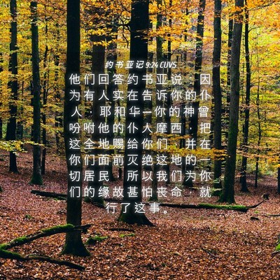 Picture 04 - 约 书 亚 记 9:24 CUVS - 他 们 回 答 约 书 亚 说 ： 因 为 有 - Bible Verse Picture