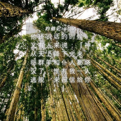 Picture 04 - 约 伯 记 1:16 CUVS - 他 还 说 话 的 时 候 ， 又 有 人 来 - Bible Verse Picture
