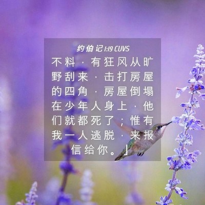 Picture 04 - 约 伯 记 1:19 CUVS - 不 料 ， 有 狂 风 从 旷 野 刮 来 ， - Bible Verse Picture