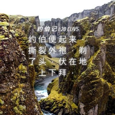 Picture 04 - 约 伯 记 1:20 CUVS - 约 伯 便 起 来 ， 撕 裂 外 袍 ， 剃 - Bible Verse Picture