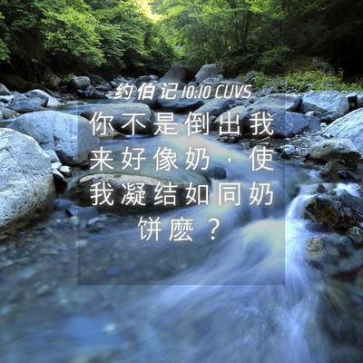 Picture 04 - 约 伯 记 10:10 CUVS - 你 不 是 倒 出 我 来 好 像 奶 ， 使 - Bible Verse Picture