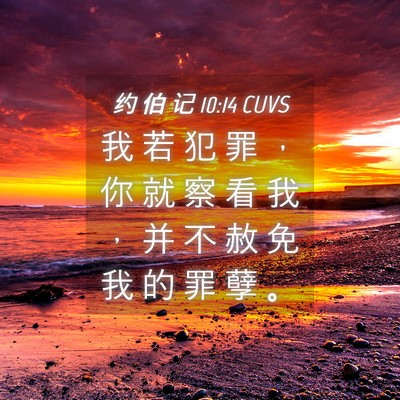 Picture 04 - 约 伯 记 10:14 CUVS - 我 若 犯 罪 ， 你 就 察 看 我 ， 并 - Bible Verse Picture