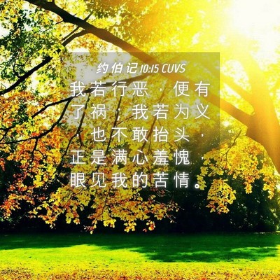 Picture 04 - 约 伯 记 10:15 CUVS - 我 若 行 恶 ， 便 有 了 祸 ； 我 若 - Bible Verse Picture