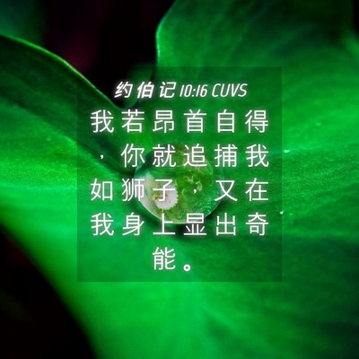 Picture 04 - 约 伯 记 10:16 CUVS - 我 若 昂 首 自 得 ， 你 就 追 捕 我 - Bible Verse Picture