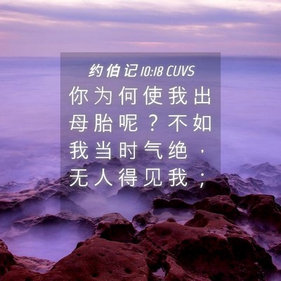 Picture 04 - 约 伯 记 10:18 CUVS - 你 为 何 使 我 出 母 胎 呢 ？ 不 如 - Bible Verse Picture