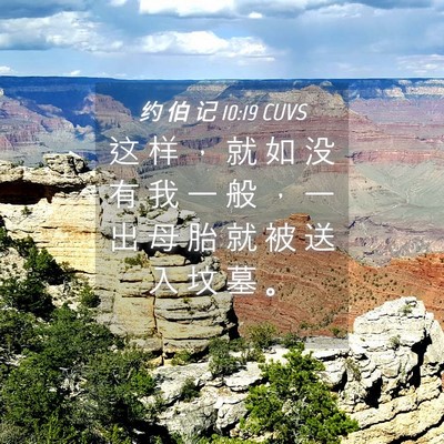 Picture 04 - 约 伯 记 10:19 CUVS - 这 样 ， 就 如 没 有 我 一 般 ， 一 - Bible Verse Picture
