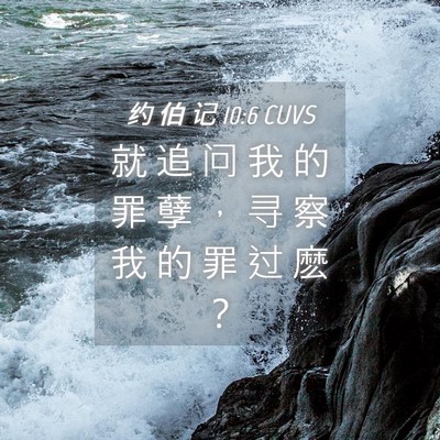 Picture 04 - 约 伯 记 10:6 CUVS - 就 追 问 我 的 罪 孽 ， 寻 察 我 的 - Bible Verse Picture