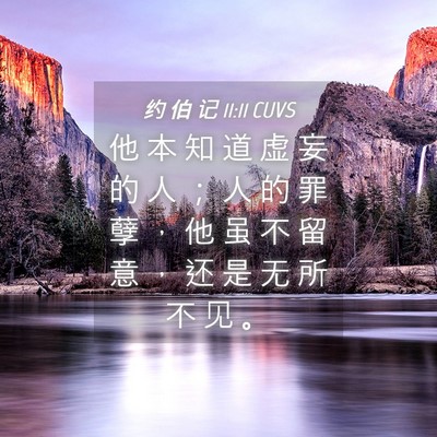 Picture 04 - 约 伯 记 11:11 CUVS - 他 本 知 道 虚 妄 的 人 ； 人 的 罪 - Bible Verse Picture