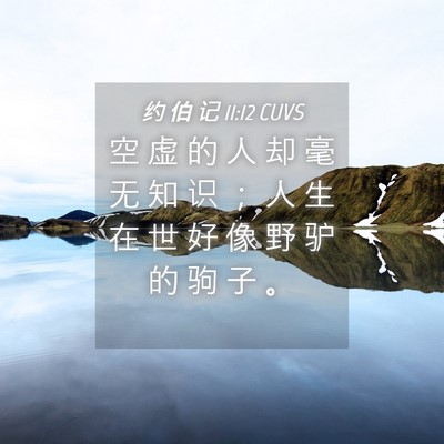 Picture 04 - 约 伯 记 11:12 CUVS - 空 虚 的 人 却 毫 无 知 识 ； 人 生 - Bible Verse Picture