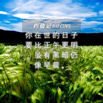 Picture 04 - 约 伯 记 11:17 CUVS - 你 在 世 的 日 子 要 比 正 午 更 明 - Bible Verse Picture