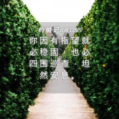Picture 04 - 约 伯 记 11:18 CUVS - 你 因 有 指 望 就 必 稳 固 ， 也 必 - Bible Verse Picture