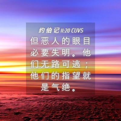 Picture 04 - 约 伯 记 11:20 CUVS - 但 恶 人 的 眼 目 必 要 失 明 。 他 - Bible Verse Picture